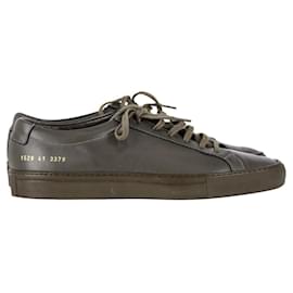 Autre Marque-Common Projects Achilles Low in Army Green Leather-Green