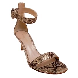 Gianvito Rossi-Gianvito Rossi Dallas Mekong Portofino 70 sandali-Marrone