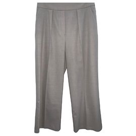 Fabiana Filippi Wool Pants Sand Sand