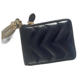 Sandro Monederos, carteras, casos Plata Azul marino