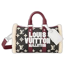 Louis Vuitton-Bandoulière LV Keepall 25-Multicolore