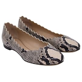 Chloé-Chloe Python-Embossed Lauren Ballet Flats in Multicolor Leather-Other,Python print