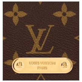 Louis Vuitton-LV-Geldbörse mit Kette, Lilie-Braun