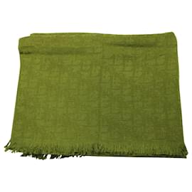 Dior-Dior Oblique Fringed Scarf in Green Cashmere and Silk-Green