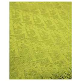 Dior-Bufanda Dior Oblique con flecos de cachemir y seda verde-Verde