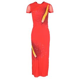 Loewe Anthurium Print Maxikleid aus roter Seide Rot