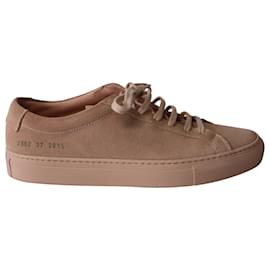 Autre Marque-Common Projects Achilles Low Sneakers in Peach Suede-Pink,Peach