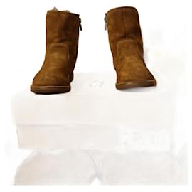 Ugg-UGG t corene-Mustard