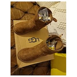 Ugg-UGG t corene-Mustard