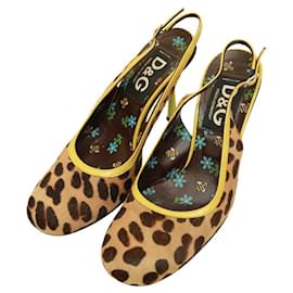 Dolce & Gabbana-Dolce & Gabbana D&G Leopard Bezerro Cabelo Amarelo Salto Slingback Mules Sapatos 38-Multicor