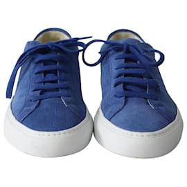 Autre Marque-Common Projects Achilles Low Sneakers in Blue Suede-Blue