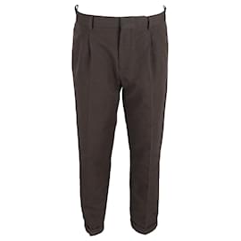 Loro Piana-Loro Piana Pleated Trousers in Brown Cotton-Brown