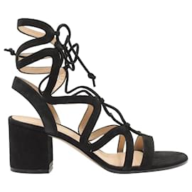 Gianvito Rossi-Gianvito Rossi Artemis 60 Lace-up sandals in black suede-Black