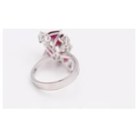 Autre Marque-Platinum Ring , rubies and diamonds-White,Red