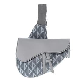 Dior Saddle Grey