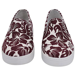 Prada-Prada Hibiscus-Print Slip-On Sneakers in Maroon Canvas-Brown,Red
