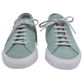 Autre Marque-Common Projects Original Achilles Low Perforated Sneakers in Teal Calfskin Leather-Other,Green