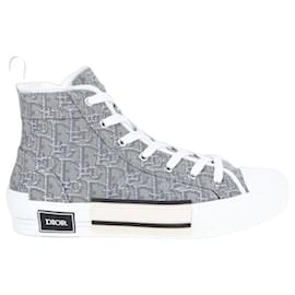 Dior-Graue Dior Jumper-Sneaker-Grau