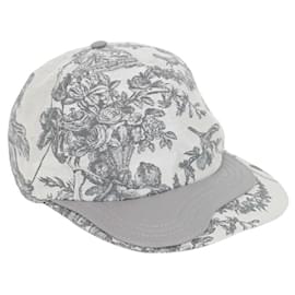 Dior-Cap-Grey