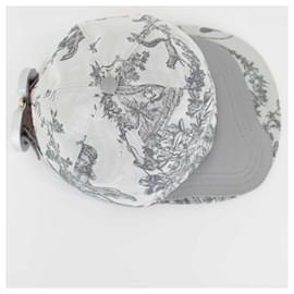 Dior-Cap-Grey