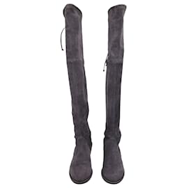 Stuart Weitzman-Stuart Weitzman Lowland Knee Length Boots in Grey Suede-Grey