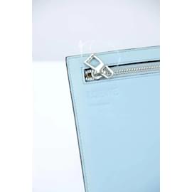 Loewe-Leather pouches-Blue