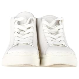 Chloé-Chloé Lauren High-Top Sneakers in White Leather-White