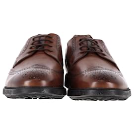 Tod's-Tod's Lace-Up Brogues in Brown Leather-Brown