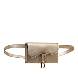 Dior-Gold Dior Leather Saddle Belt Bag-Golden