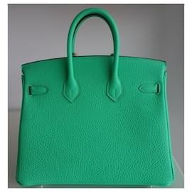 Hermès-HERMES BIRKIN BAG 25-Green