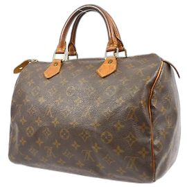 Louis Vuitton schnell 30 Braun