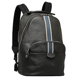 Louis Vuitton-Schwarzer Louis Vuitton Taiga Anton Rucksack-Schwarz