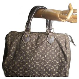 Louis Vuitton Speedy Handbag Multicolore Cloth Multiple colors