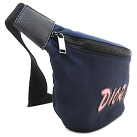 Dior-Dior Blue Kaws Bee Belt Bag-Other