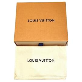 Louis Vuitton-Louis Vuitton-Schwarz