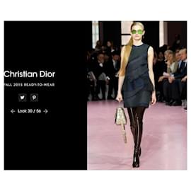 Christian Dior-Dior de Raf Simons Otoño 2015-Multicolor