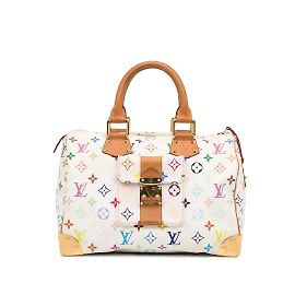 LOUIS VUITTON Bolsas Multicor