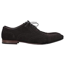 Yves Saint Laurent-Zapatos Oxford con cordones Saint Laurent en ante marrón-Castaño