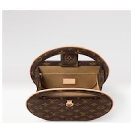 Louis Vuitton-bolso LV Around Me PM-Castaño