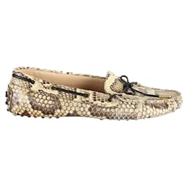 Tod's-Snake Loafers-Other