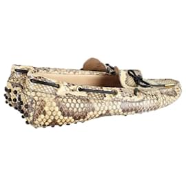 Tod's-Snake Loafers-Other