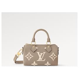 Louis Vuitton-LV Speedy nano bicolor novo-Cinza