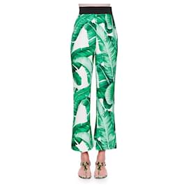 Dolce & Gabbana-Pantalones, polainas-Verde