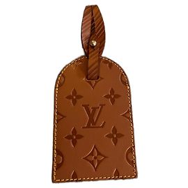Louis Vuitton Purses, wallets, cases Brown Camel