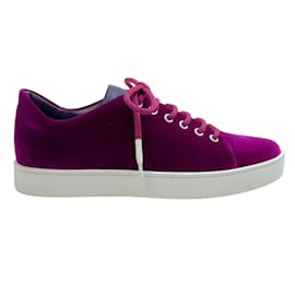 Manolo Blahnik-Manolo Blahnik Bright Purple Velvet Samanada Sneakers-Purple