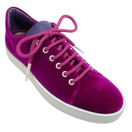 Manolo Blahnik-Manolo Blahnik Bright Purple Velvet Samanada Sneakers-Purple