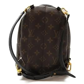 Louis Vuitton-Monogramme Mini Palm Springs M44873-Marron