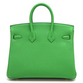 Hermès-Clemence Birkin 25-Green
