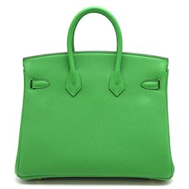 Hermès-Clémence Birkin 25-Vert