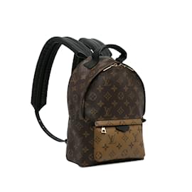 Louis Vuitton-Brown Louis Vuitton Monogram Reverse Palm Springs PM Backpack-Brown
